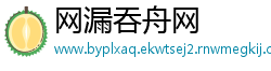 网漏吞舟网